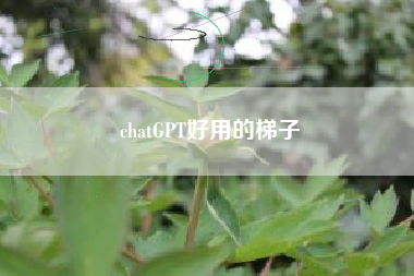 chatGPT好用的梯子