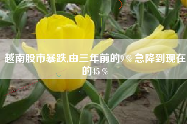 越南股市暴跌,由三年前的9％急降到现在的45％