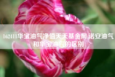 162411华宝油气净值天天基金网,诺安油气和华宝油气的区别