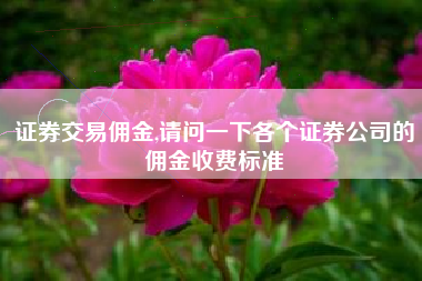 证券交易佣金,请问一下各个证券公司的佣金收费标准