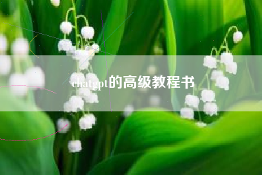 chatgpt的高级教程书