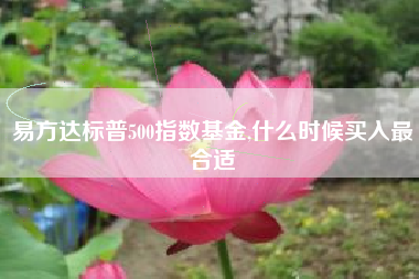 易方达标普500指数基金,什么时候买入最合适
