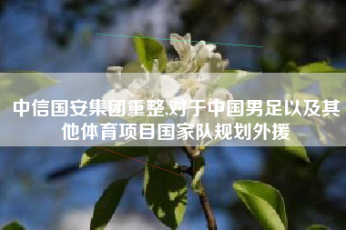 中信国安集团重整,对于中国男足以及其他体育项目国家队规划外援