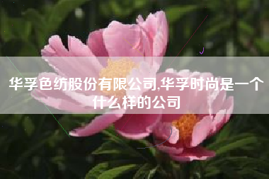 华孚色纺股份有限公司,华孚时尚是一个什么样的公司