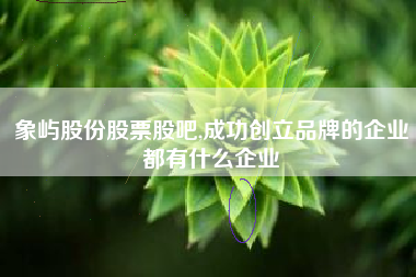 象屿股份股票股吧,成功创立品牌的企业都有什么企业