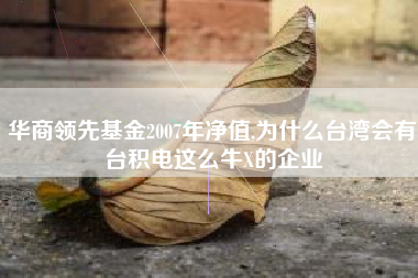 华商领先基金2007年净值,为什么台湾会有台积电这么牛X的企业