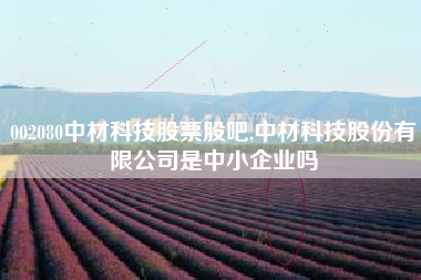 002080中材科技股票股吧,中材科技股份有限公司是中小企业吗