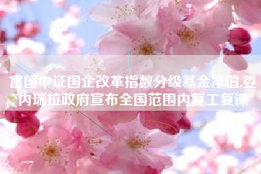 富国中证国企改革指数分级基金净值,委内瑞拉政府宣布全国范围内复工复课