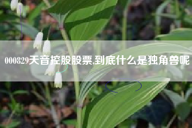 000829天音控股股票,到底什么是独角兽呢