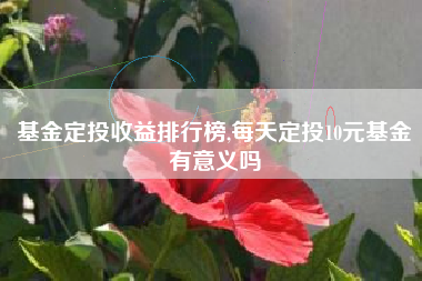 基金定投收益排行榜,每天定投10元基金有意义吗