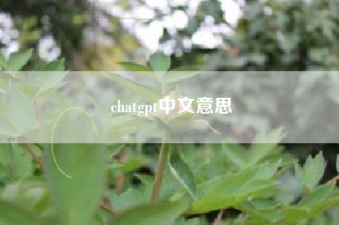 chatgpt中文意思