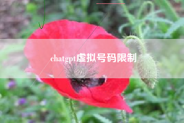chatgpt虚拟号码限制