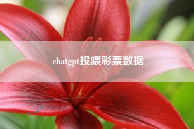 chatgpt投喂彩票数据