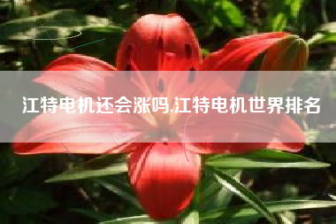 江特电机还会涨吗,江特电机世界排名