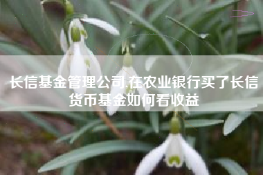 长信基金管理公司,在农业银行买了长信货币基金如何看收益