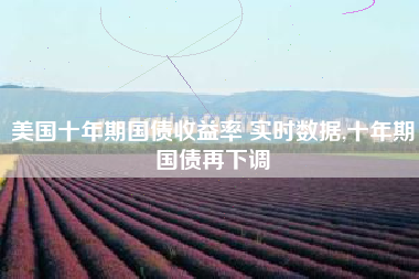 美国十年期国债收益率 实时数据,十年期国债再下调