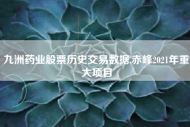 九洲药业股票历史交易数据,赤峰2021年重大项目