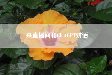 来直播间和ChatGPT对话