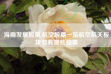海南发展股票,航空股票一览航空航天板块都有哪些股票