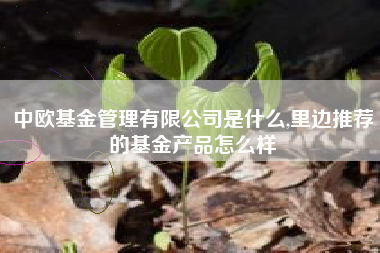 中欧基金管理有限公司是什么,里边推荐的基金产品怎么样