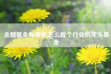 金融基金有哪些,怎么找个行业的龙头基金