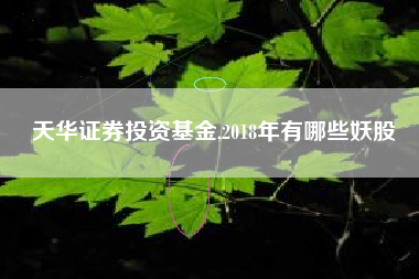 天华证券投资基金,2018年有哪些妖股