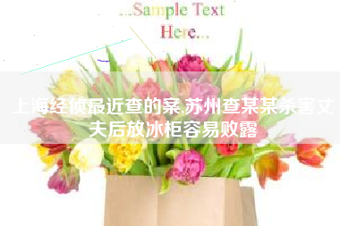 上海经侦最近查的案,苏州查某某杀害丈夫后放冰柜容易败露