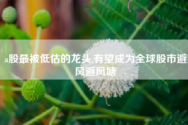 a股最被低估的龙头,有望成为全球股市避风避风塘
