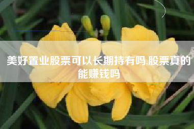 美好置业股票可以长期持有吗,股票真的能赚钱吗