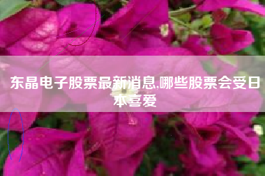 东晶电子股票最新消息,哪些股票会受日本喜爱