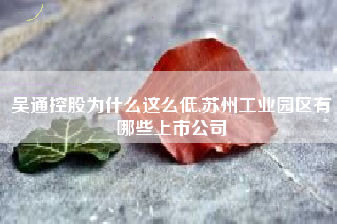 吴通控股为什么这么低,苏州工业园区有哪些上市公司