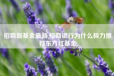 招商新基金最新,招商银行为什么极力推荐东方红基金