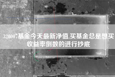320007基金今天最新净值,买基金总是想买收益率倒数的进行抄底