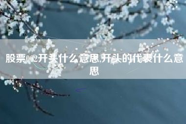 股票002开头什么意思,开头的代表什么意思
