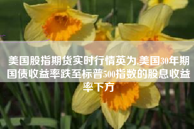 美国股指期货实时行情英为,美国30年期国债收益率跌至标普500指数的股息收益率下方