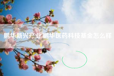 鹏华新兴产业,鹏华医药科技基金怎么样