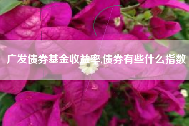 广发债券基金收益率,债券有些什么指数
