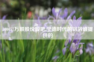 300057万顺股份股吧,宁德时代的铝箔谁提供的