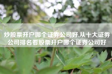 炒股票开户哪个证券公司好,从十大证券公司排名看股票开户哪个证券公司好