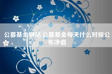 公募基金网站,公募基金每天什么时候公布净值
