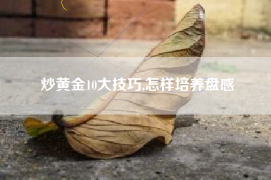 炒黄金10大技巧,怎样培养盘感