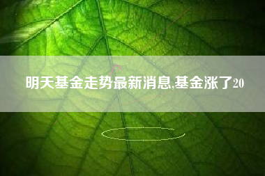 明天基金走势最新消息,基金涨了20