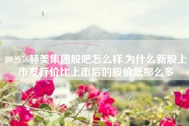 详细阅读:002356赫美集团股吧怎么样,为什么新股上市发行价比上市后的股价低那么多 002356赫美集团股吧怎么样,为什么新股上市发行价比上市后的股价低那么多