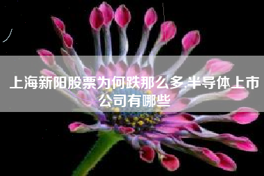 上海新阳股票为何跌那么多,半导体上市公司有哪些