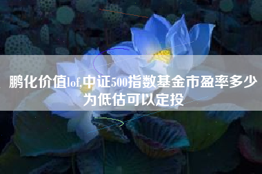 鹏化价值lof,中证500指数基金市盈率多少为低估可以定投