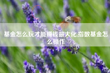 基金怎么玩才能赚钱最大化,指数基金怎么操作