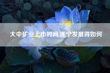 大中矿业上市时间,遂宁发展得如何