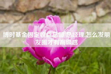 博时基金固定收益总部 总经理,怎么发朋友圈才有高级感