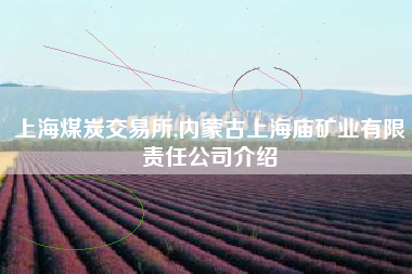 上海煤炭交易所,内蒙古上海庙矿业有限责任公司介绍