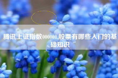 腾讯上证指数000001,股票有哪些入门的基础知识